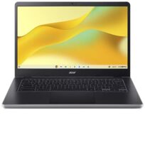 ACER950879